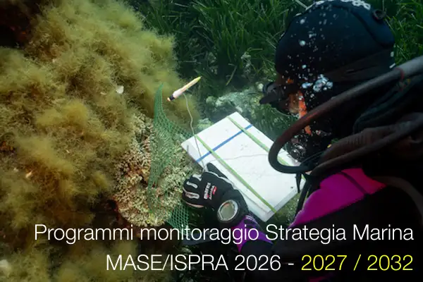 Programmi di monitoraggio della Strategia Marina - MASE/ISPRA - 2027 / 2032